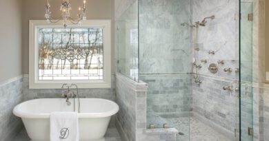 Recommendations For Bathroom Remodeling